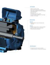 2014 WEG Motor Catalog - 10