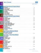 2014 WEG Motor Catalog - 2