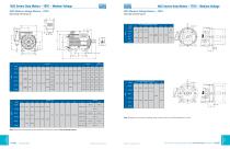 Medium Voltage Motors - 4