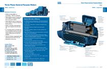 Three Phase General Purpose Motors-1
