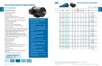 Three Phase General Purpose Motors-2