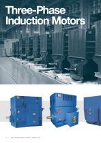 Three-phase induction motors Master line - 2