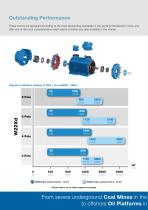 W22Xd - Flameproof Motors (Medium and High Voltage) - 10