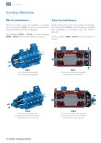 W22Xd - Flameproof Motors (Medium and High Voltage) - 12