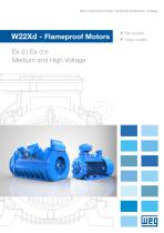 W22Xd - Flameproof Motors (Medium and High Voltage) - 1