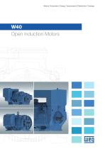W40 - Open Induction Motors-1