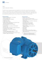 W40 - Open Induction Motors-2