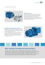W40 - Open Induction Motors-3