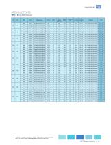 WEG Metric Motors - General Purpose and ATEX - 11