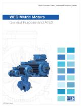 WEG Metric Motors - General Purpose and ATEX - 1