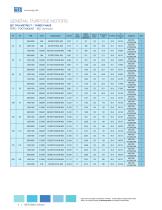 WEG Metric Motors - General Purpose and ATEX - 4