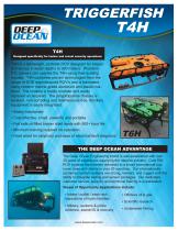 T4H Brochure - 1