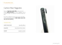 EXIT CARBON FLAGPOLES-3