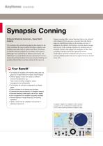 Synapsis Conning - 2