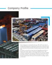 Company Profile - 3