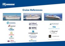 Company Presentation-10