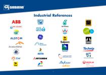 Company Presentation-21