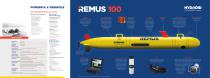 Remus 100 Autonomous Underwater Vehicle - 2