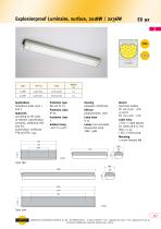 EX92 Explosionproof Luminaire, surface, 2x 18 W / 2x 36 W - 1