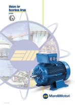 Hazardous Areas Motors-1