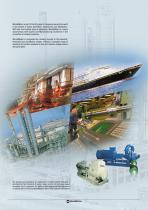 Hazardous Areas Motors-2