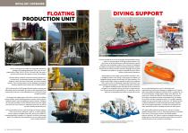 Offshore Brochure - 7