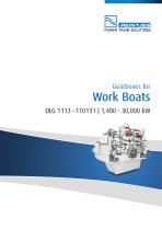 Work Boats DLG 1113-110131 - 1