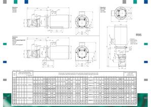 Gear PUMP unitS R95 - 2