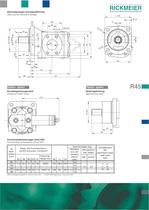 GEAR PUMPS R45 - 2