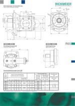 GEAR PUMPS R65 - 2