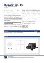 TEF 2488 550 Panama Steerling Light-2