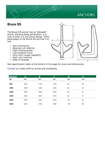 The Bruce SS anchor