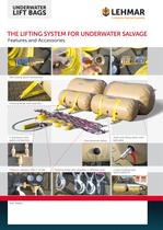 Flyer Recovery System - 2