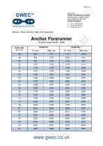 Anchor Forerunner - 2