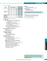 BS Series Solenoid Valve - 2