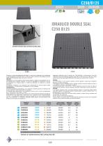 IDRAULICO DOUBLE SEAL C250 B125 - 1