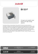 BI 53 F