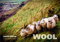 Wool - 1