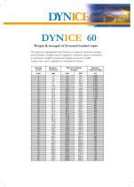 DYNICE 60 - 1