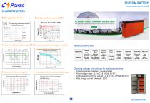 CSPower Telecom Battery- FL series-2