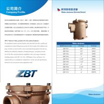 ZBT Water filter SS-FTW series-2