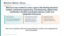 Marinova Presentation - New for a Reason-2