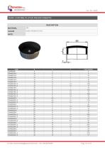 HOLE AND THREADED PROTECTION-21