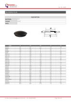 HOLE AND THREADED PROTECTION-25
