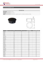 HOLE AND THREADED PROTECTION-31