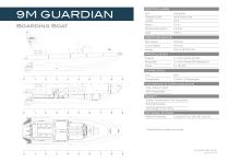 9M GuARDIAN boarding boat - 2