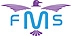 Falcon Mega Solutions
