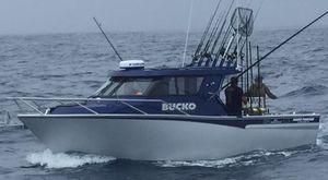 barco profissional barco de pesca profissional 1