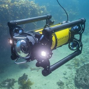 ROV de observação