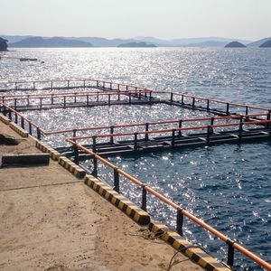 tanque-rede para aquicultura